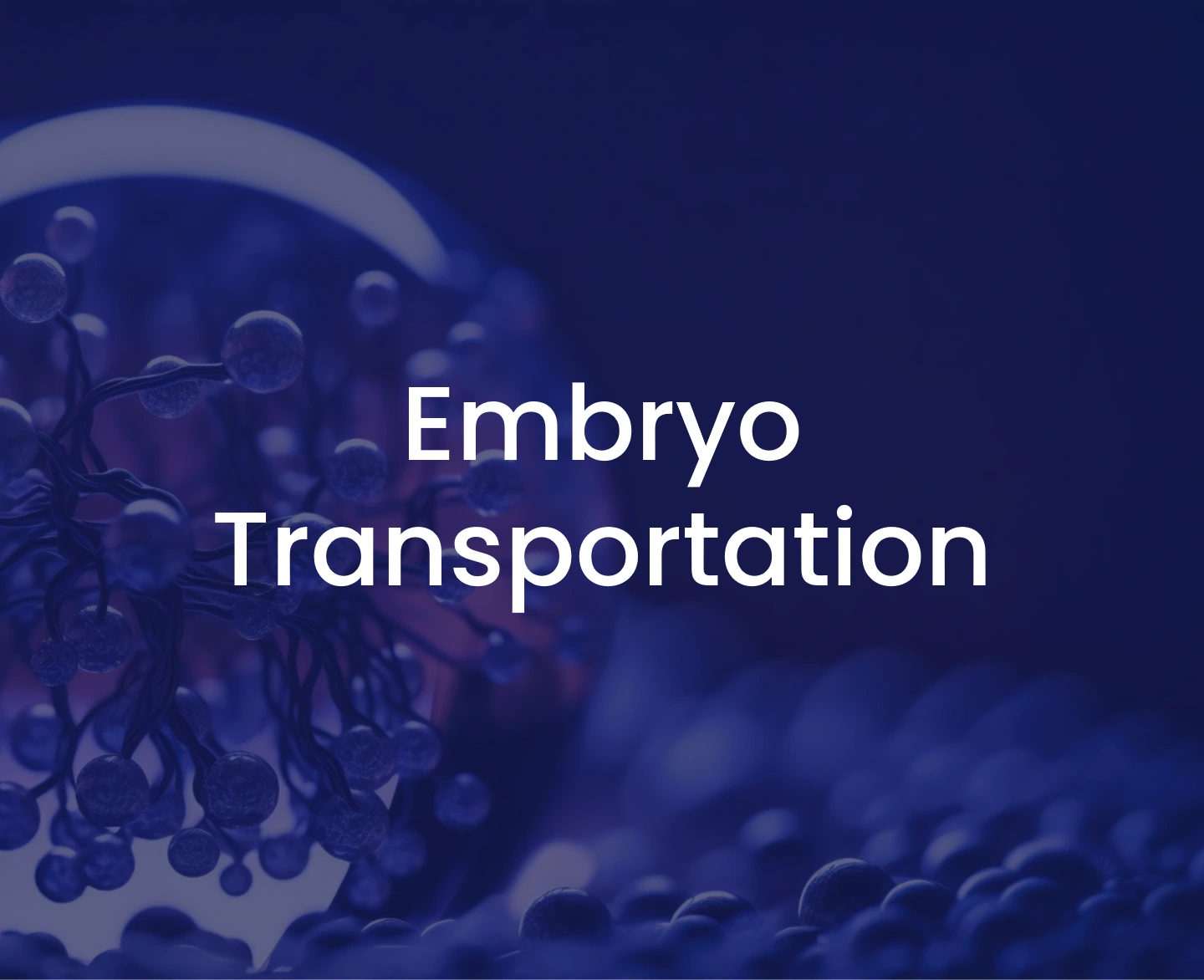 Embryo Transportation