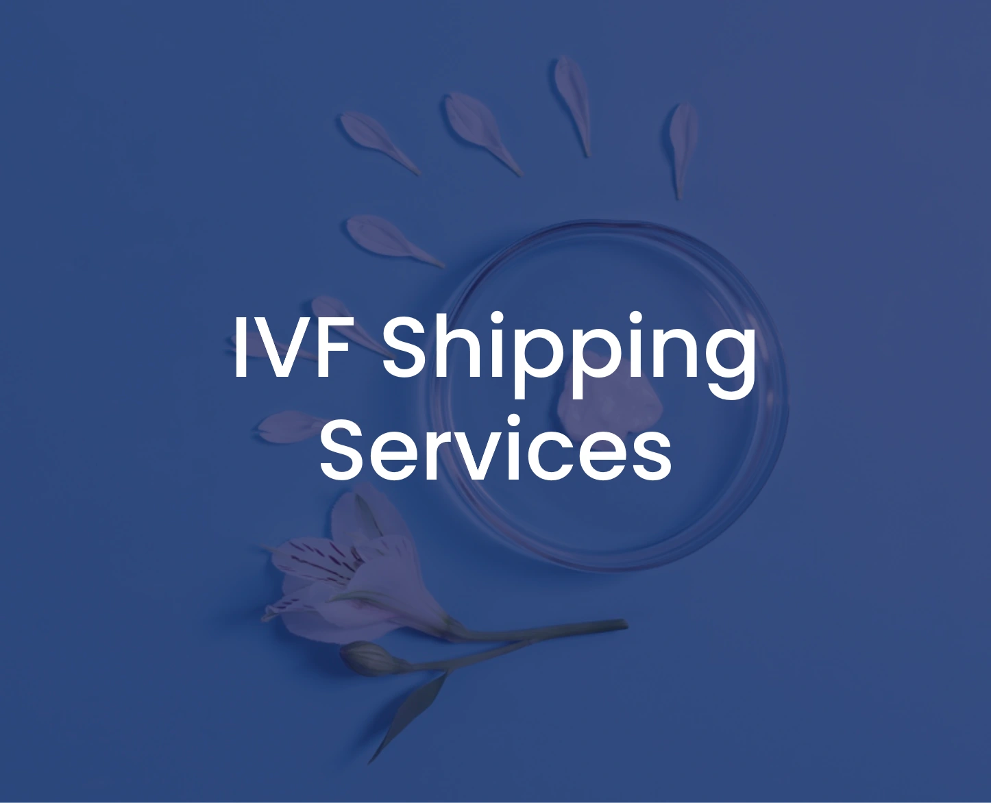 IVF Shipping Services